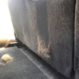 Pet Rock